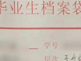 单位查询档案在哪里_漳州人在哪里查询档案