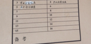 个人档案查询入口