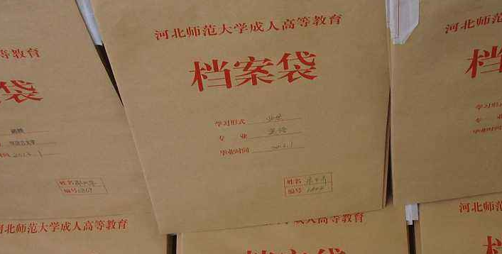 个人档案如何查询系统