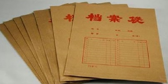 档案网上查询系统