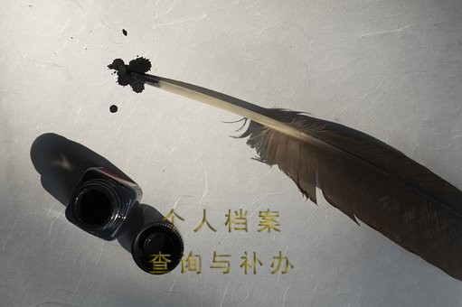 秦皇岛市人才中心,个人档案查询入口介绍