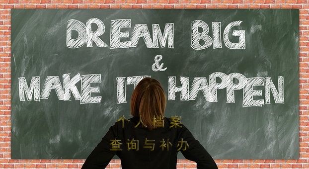 保定市人才中心,个人档案查询入口