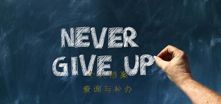 毕业生档案查询