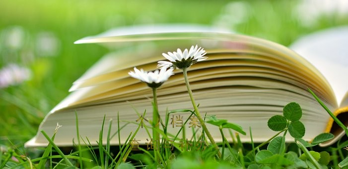 个人档案查询不到怎么办