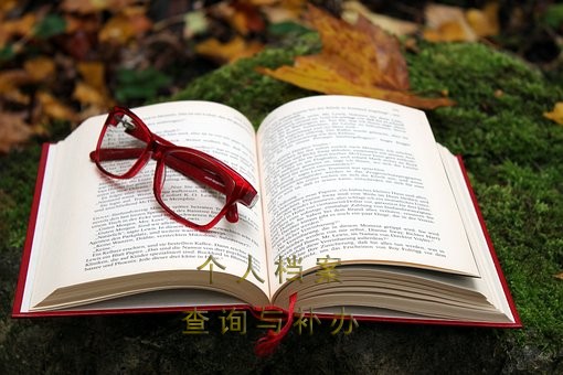 怎么查询个人档案存放地