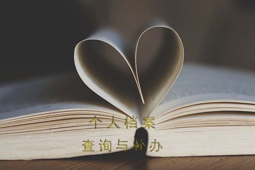 赤峰市大学生档案查询方法