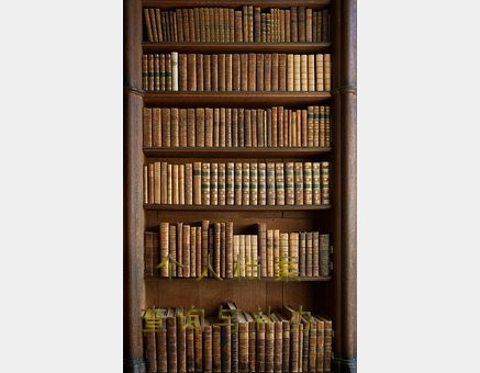 大学生档案管理与查询方法