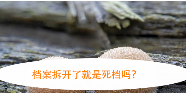 档案拆开了就是死档吗，打算考编怎么办？