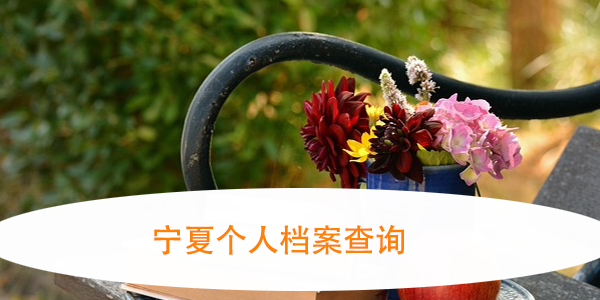 宁夏个人档案查询，速来学习！
