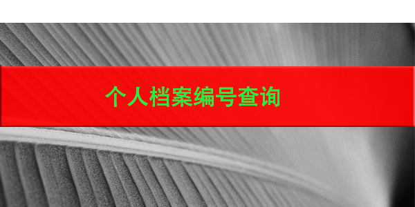 个人档案编号查询，你了解吗？