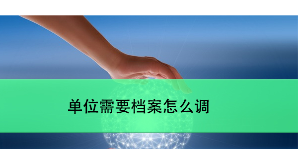 单位需要档案怎么调，调档流程详解与注意事项