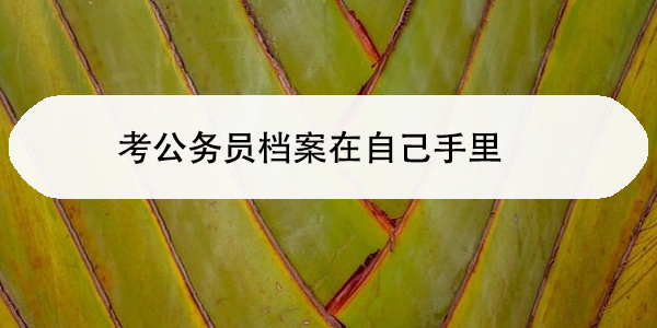 考公务员档案在自己手里被招考单位拒收