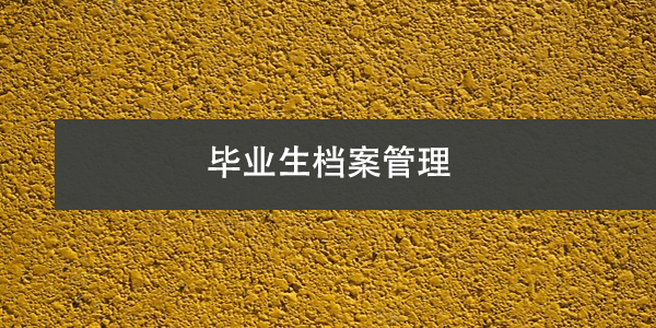毕业生档案管理,个人档案存放与查询指南