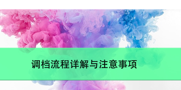 单位需要档案怎么调,调档流程详解与注意事项