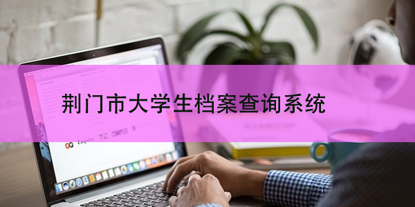 荆门市大学生档案查询系统，网上查询档案的便捷途径